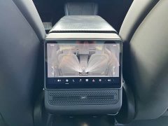 Tesla Model 3 Rear-Wheel Drive - ფოტო 12