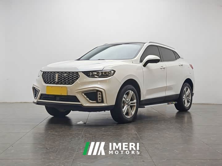 Great Wall WEY VV5 1.5T Two-Wheel Drive Yan Pioneer