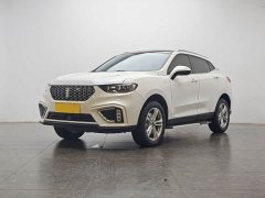 Great Wall WEY VV5 2020 1.5T Two-Wheel Drive Yan Pioneer - ფოტო 1