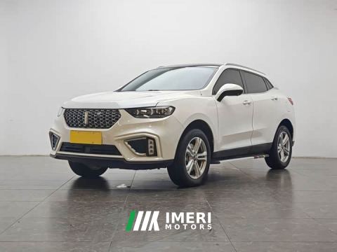 2021 WEY VV5 1.5T Two-Wheel Drive Yan Pioneer