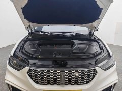 Great Wall WEY VV5 2020 1.5T Two-Wheel Drive Yan Pioneer - ფოტო 12