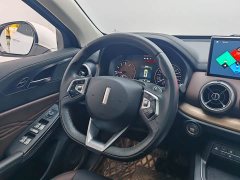 Great Wall WEY VV5 2020 1.5T Two-Wheel Drive Yan Pioneer - ფოტო 15