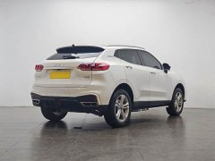 Great Wall WEY VV5 2020 1.5T Two-Wheel Drive Yan Pioneer - ფოტო 3