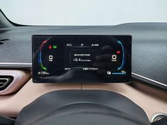 BYD Seagull Glory Edition 305km Freedom Version - ფოტო 13