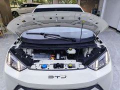 BYD Seagull Glory Edition 305km Freedom Version - ფოტო 15