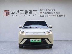 BYD Seagull Glory Edition 305km Freedom Version - ფოტო 2