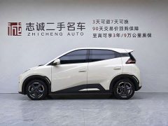 BYD Seagull Glory Edition 305km Freedom Version - ფოტო 3