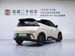 BYD Seagull Glory Edition 305km Freedom Version - ფოტო 4