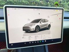 Tesla Model Y Facelift Rear-Wheel Drive - ფოტო 8