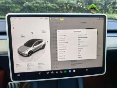 Tesla Model Y Facelift Rear-Wheel Drive - ფოტო 9
