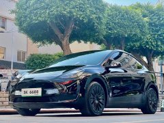 Tesla Model Y Rear-Wheel Drive - ფოტო 1