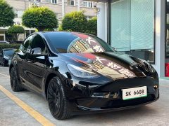 Tesla Model Y Rear-Wheel Drive - ფოტო 3