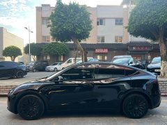 Tesla Model Y Rear-Wheel Drive - ფოტო 6