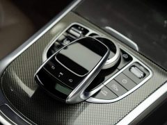 Mercedes-Benz G-Class 2021 G 500 - ფოტო 16