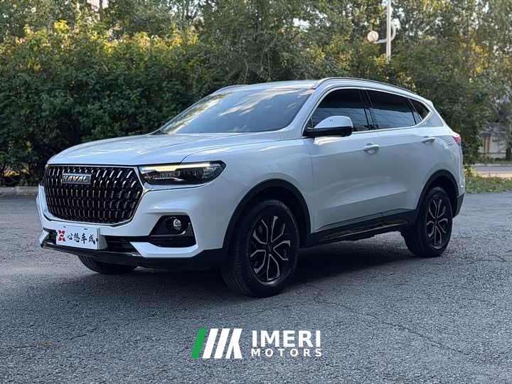 Haval H6 2023 National Trend Edition 1.5T Automatic Urban Version - ავტომობილი ჩინეთიდან
