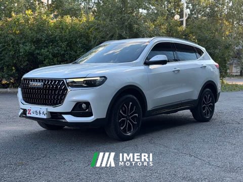 2024 Haval H6 2023 National Trend Edition 1.5T Automatic Urban Version - ავტომობილი ჩინეთიდან