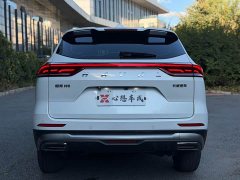 Haval H6 2023 National Trend Edition 1.5T Automatic Urban Version - ფოტო 5