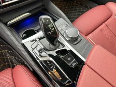 BMW 5 Series 530Li Luxury M Sport Package - ფოტო 10