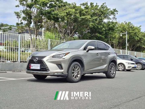 2021 Lexus NX 2020 200 FWD Sharp Edition National VI - ავტომობილი ჩინეთიდან