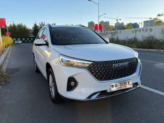Haval M6 2021 PLUS 1.5T Manual Elite Smart Connected - ფოტო 3