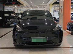 Tesla Model Y Rear-Wheel Drive - ფოტო 2