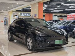 Tesla Model Y Rear-Wheel Drive - ფოტო 3