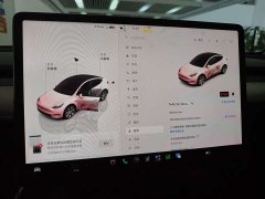 Tesla Model Y Rear-Wheel Drive - ფოტო 5