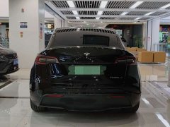 Tesla Model Y Rear-Wheel Drive - ფოტო 8