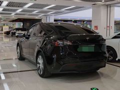 Tesla Model Y Rear-Wheel Drive - ფოტო 9