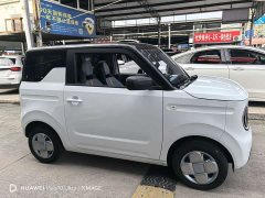 Geely Panda 210km Panda Kart - ფოტო 4