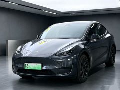 Tesla Model Y Rear-Wheel Drive - ფოტო 1