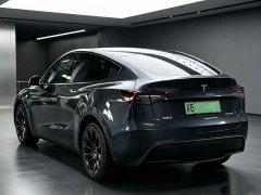 Tesla Model Y Rear-Wheel Drive - ფოტო 2