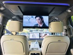 Great Wall Wei V9X Executive Extended Wheelbase - ფოტო 6