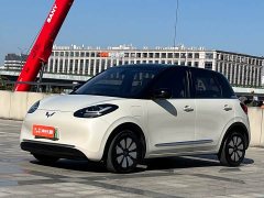 Wuling Binguo 410km Lingxi Premium Edition - ფოტო 1