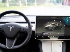 Tesla Model 3 2022 Rear-Wheel Drive - ფოტო 13