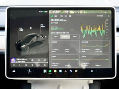 Tesla Model 3 2022 Rear-Wheel Drive - ფოტო 8
