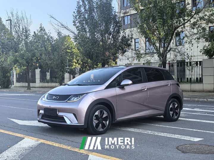 BYD Dolphin Glory Edition 420km Fashion Version - ავტომობილი ჩინეთიდან