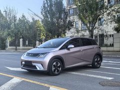 BYD Dolphin Glory Edition 420km Fashion Version - ფოტო 1