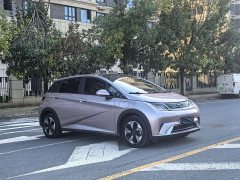 BYD Dolphin Glory Edition 420km Fashion Version - ფოტო 3
