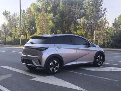 BYD Dolphin Glory Edition 420km Fashion Version - ფოტო 6