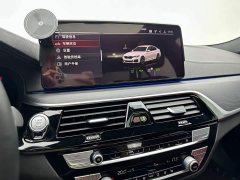 BMW 5 Series 530Li Premier M Sport Package - ფოტო 14