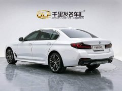 BMW 5 Series 530Li Premier M Sport Package - ფოტო 8