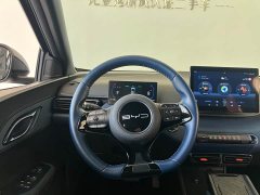 BYD Seagull Flying Edition - ფოტო 12