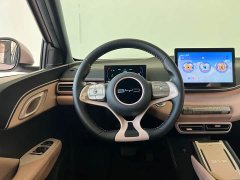 BYD Seagull Freedom Edition - ფოტო 12