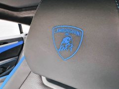 Lamborghini Urus 2023 4.0T V8 S - ფოტო 14