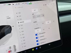 Tesla Model 3 Rear-Wheel Drive - ფოტო 10