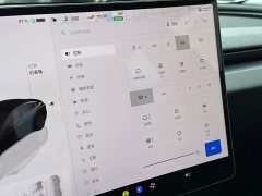 Tesla Model 3 Rear-Wheel Drive - ფოტო 11