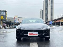 Tesla Model 3 Rear-Wheel Drive - ფოტო 2
