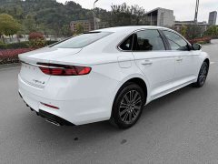 Geely Xingrui Dongfang Yao 1.5TD Fuyao Edition - ფოტო 12