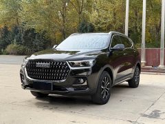 Haval H6 National Trend Edition 1.5T Automatic Urban Version - ფოტო 1